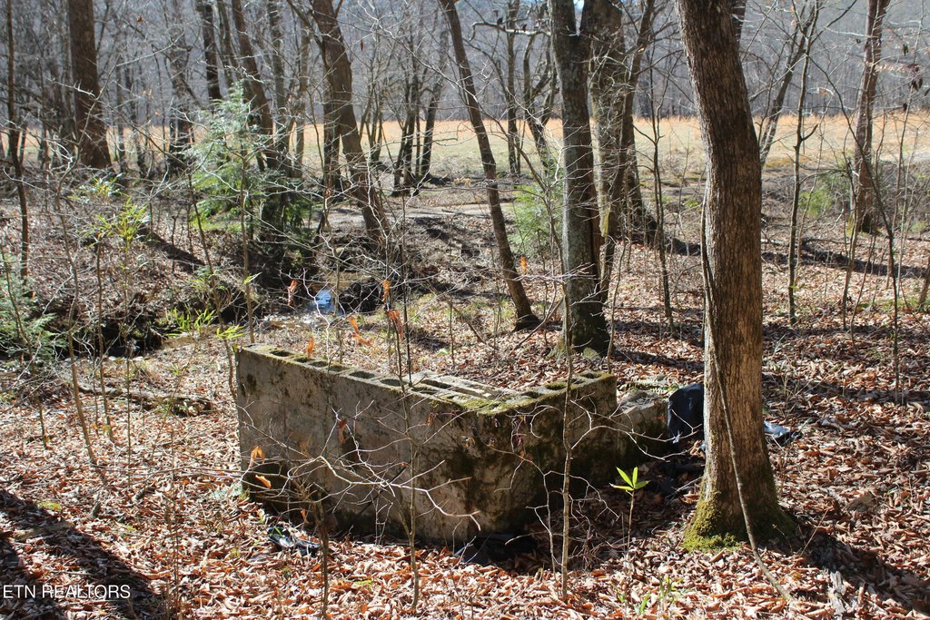 Jamestown, Tennessee, 38556, United States, 3 Bedrooms Bedrooms, ,1 BathroomBathrooms,Residential,Forsale,1885987