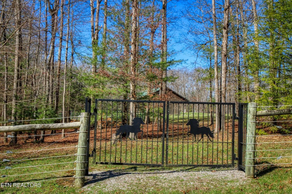 Allardt, Tennessee, 38504, United States, 1 Bedroom Bedrooms, ,1 BathroomBathrooms,Residential,Forsale,1995011