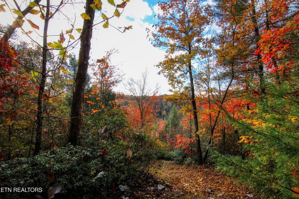 Allardt, Tennessee, 38504, United States, 1 Bedroom Bedrooms, ,1 BathroomBathrooms,Residential,Forsale,1995011