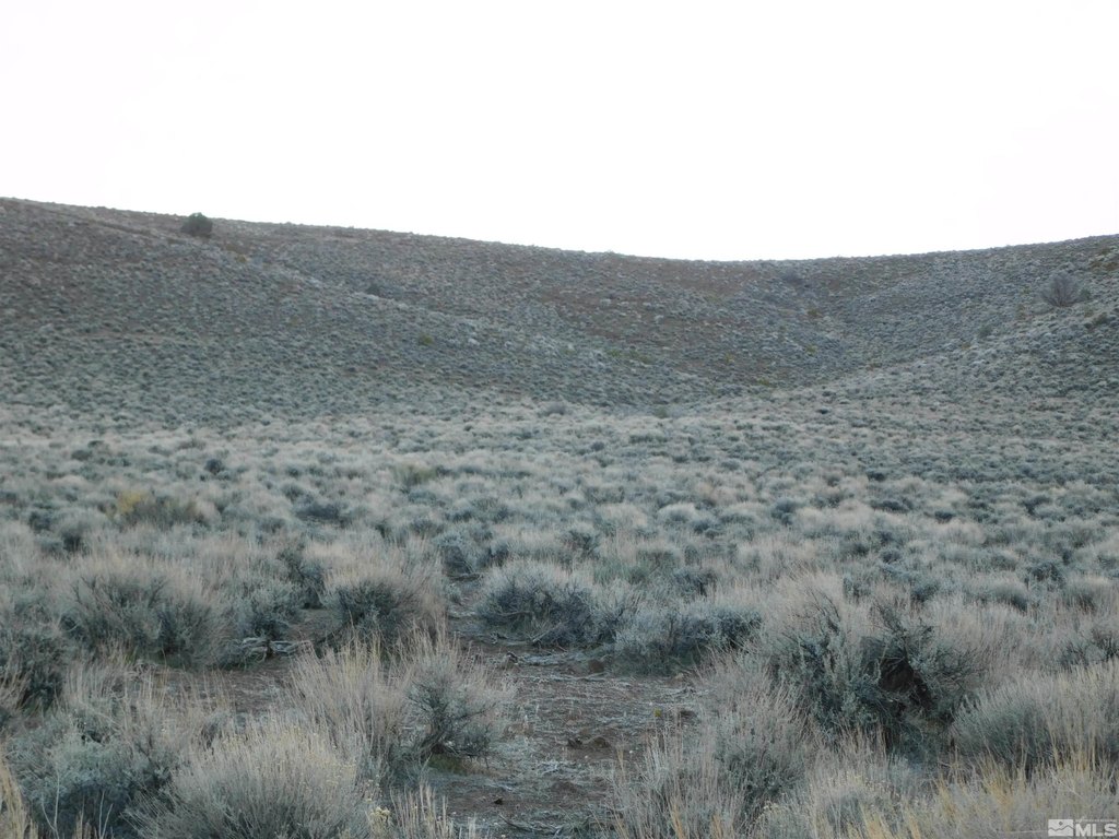 Dayton, Nevada, 89403, United States, ,Land,Forsale,1886494