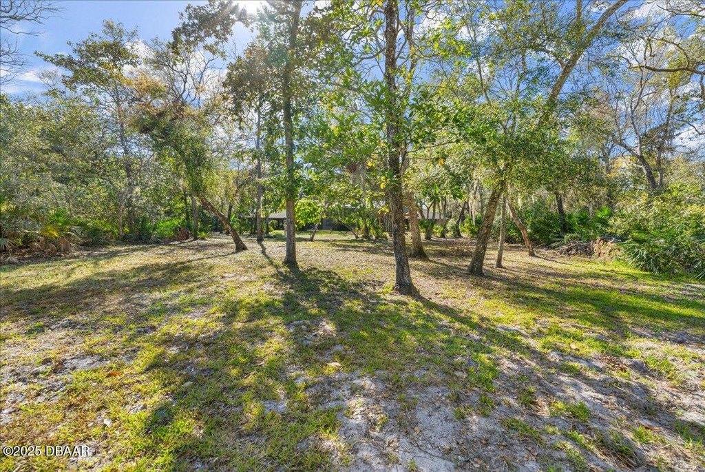 Flagler Beach, Florida, 32136, United States, 3 Bedrooms Bedrooms, ,3 BathroomsBathrooms,Residential,Forsale,2002767