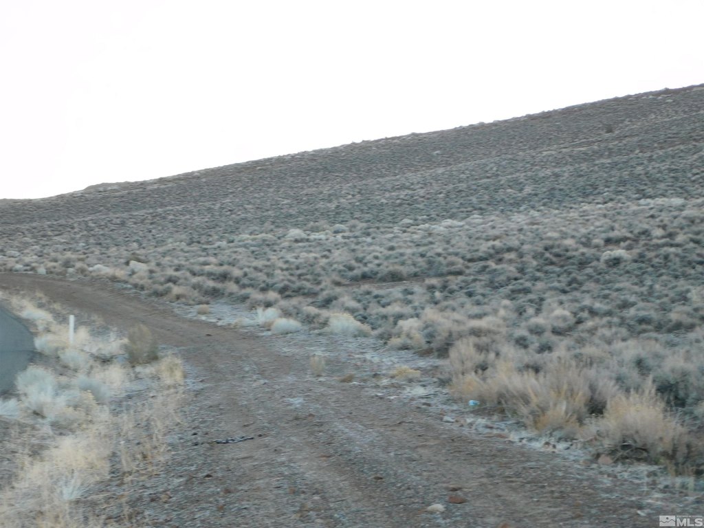 Dayton, Nevada, 89403, United States, ,Land,Forsale,1886494