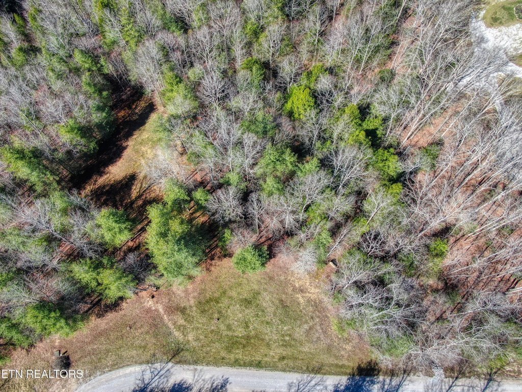 Allardt, Tennessee, 38504, United States, 1 Bedroom Bedrooms, ,1 BathroomBathrooms,Residential,Forsale,1995011